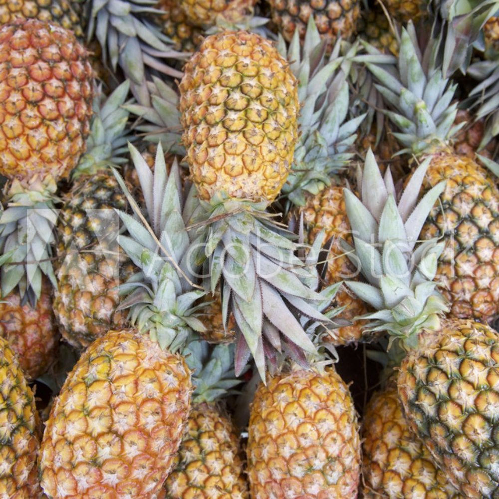 Organic Pineapples